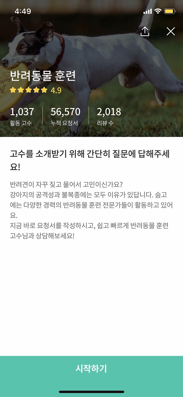 전문 개 훈련 비용은 얼마입니까