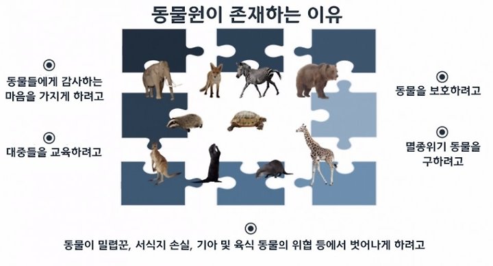 동물원의 이로운 점과 어두운 사실