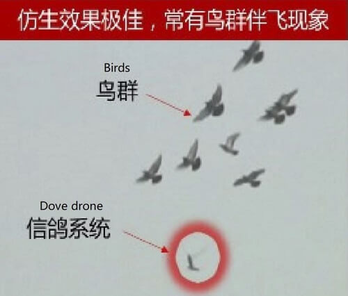 中国政府, 市民監視用ドでは 