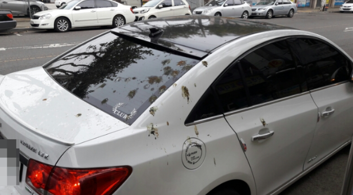 청라에서 차량 내부 청소 및 이물질 제거는 '소낙스인천청라점'
